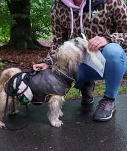 Vijf sterren beoordeling voor hondengedragstherapie Fantastisch resultaat na paar sessies. Wendy is betrokken en je hebt veel persoonlijke aandacht